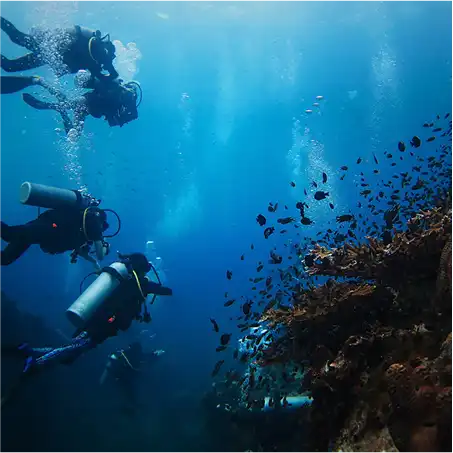 Scuba divers swimming alongside a vibrant coral reef wall and schools of fish in Baa Atoll