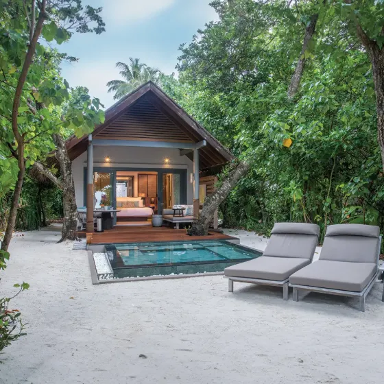 Private plunge pool in tropical greenery at Vakkaru Maldives Residence