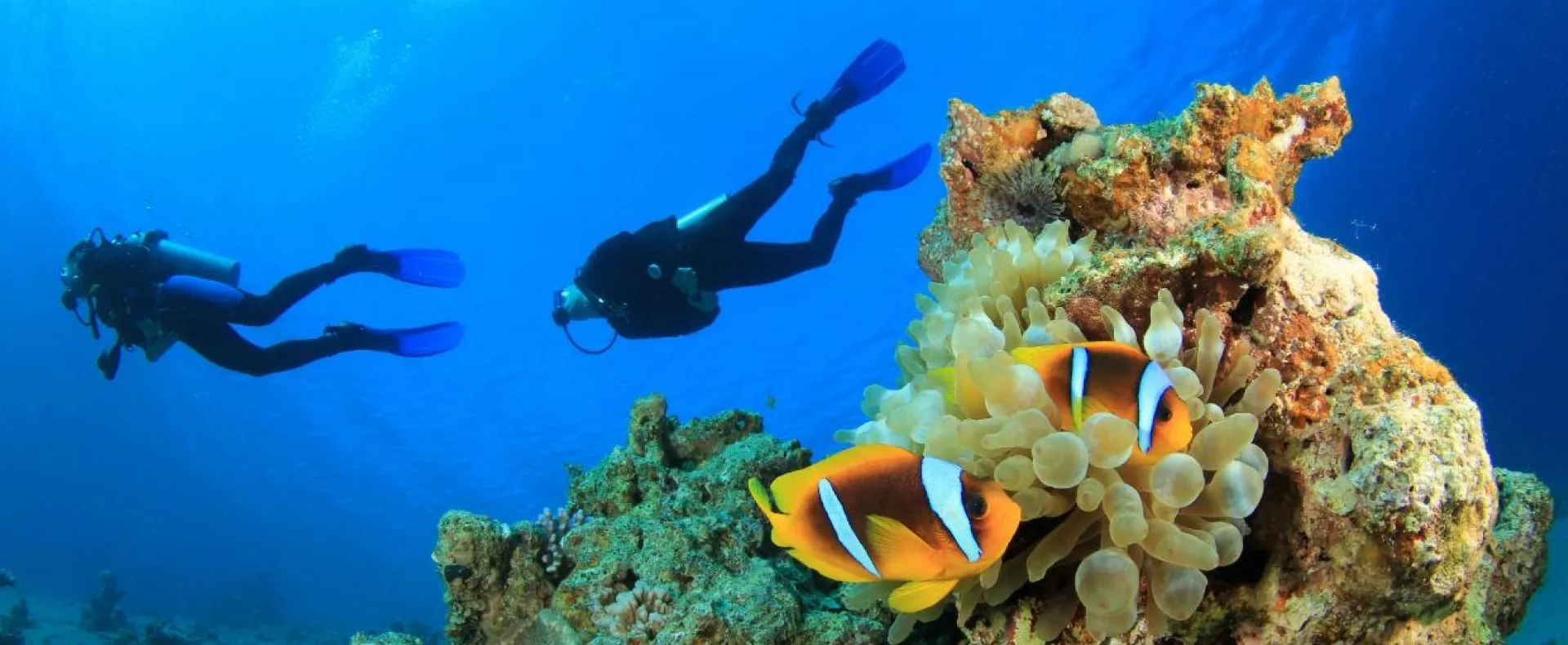 Scuba diving experience at Vakkaru Maldives in Baa Atoll reefs
