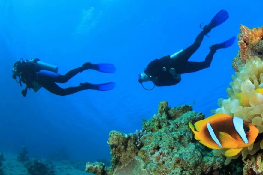 PADI diving courses at Vakkaru Maldives with training and marine life