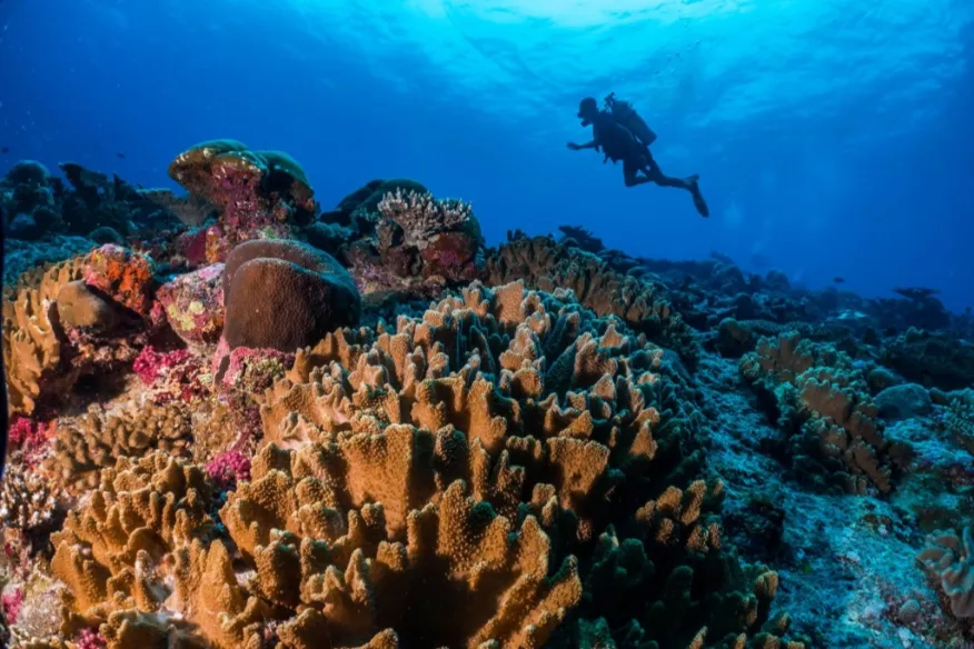 PADI Open Water Diver course at Vakkaru Maldives with training and dives