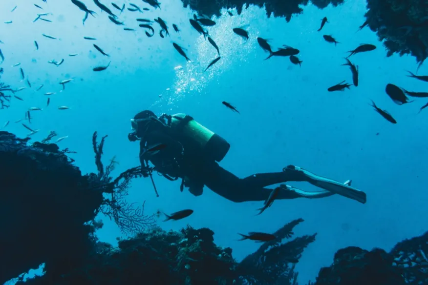 PADI specialty diving courses at Vakkaru Maldives including deep and night dives