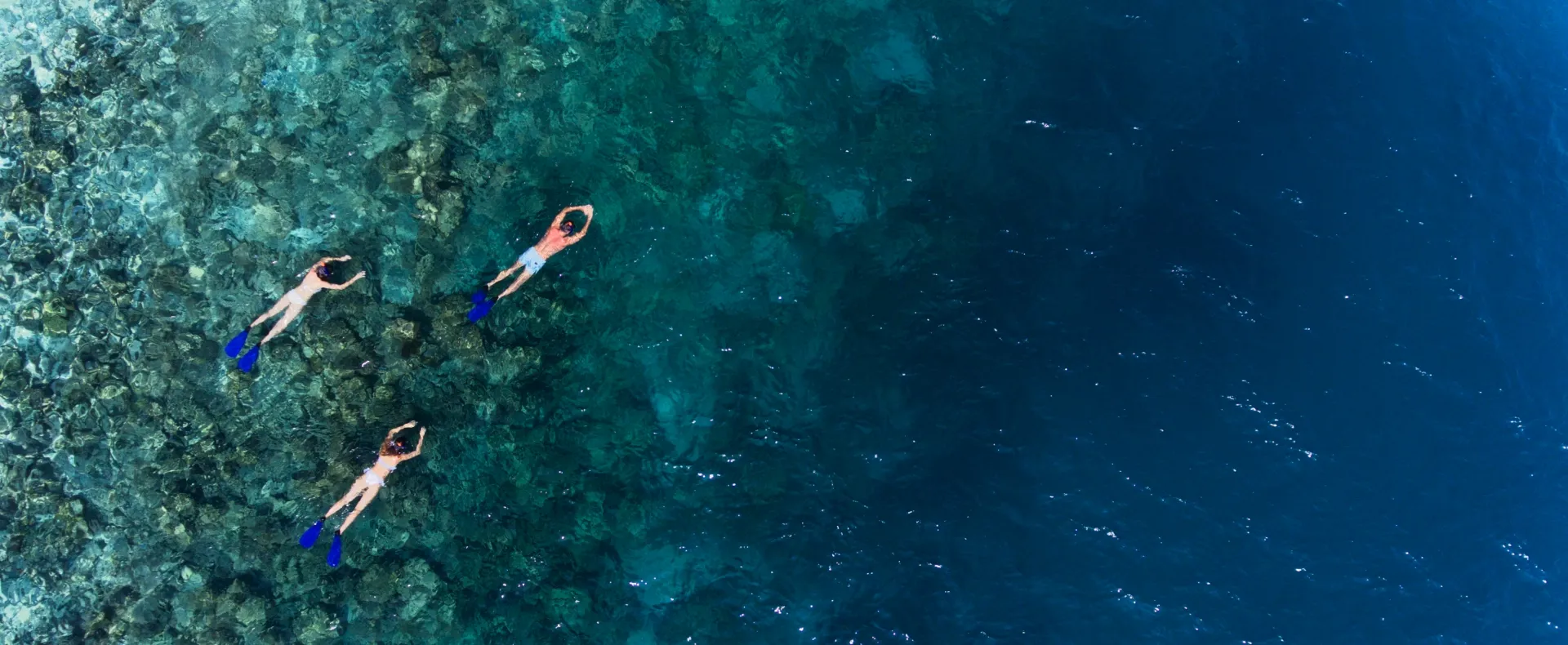 Guests snorkelling at Vakkaru Maldives house reef with clear tropical waters