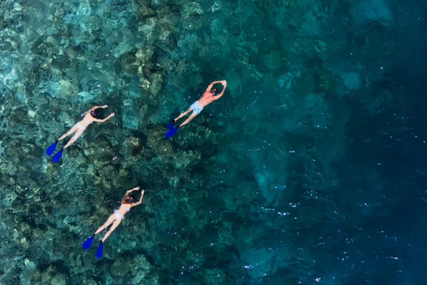 Snorkelling in Baa Atoll with reefs, turtles, corals and manta rays