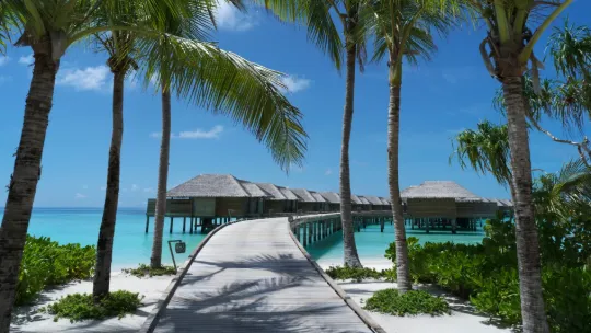 Overwater villa jetty at Vakkaru Maldives resort surrounded by palm trees over a clear blue lagoon