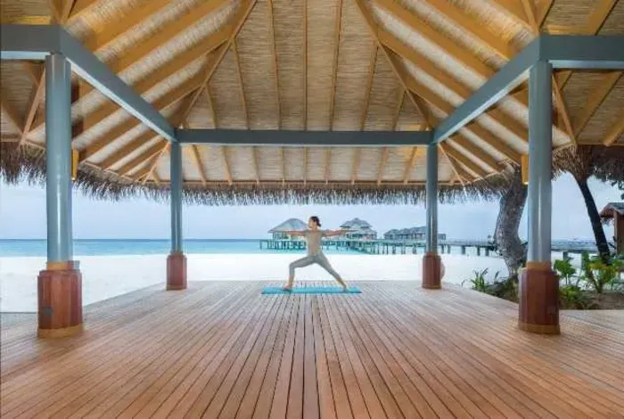 A Season of Wellness and Renewal
