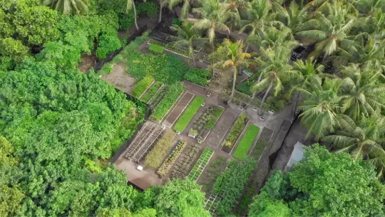 Organic farm garden at Vakkaru Maldives luxury resort