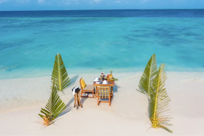Organic garden dining at Vakkaru Maldives Residence featuring a guided garden walk and fresh garden-to-table dining in a tranquil palm-shaded setting.